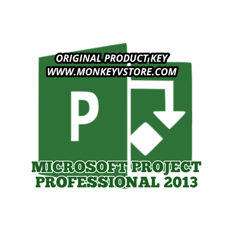 Microsoft Project Pro 2013